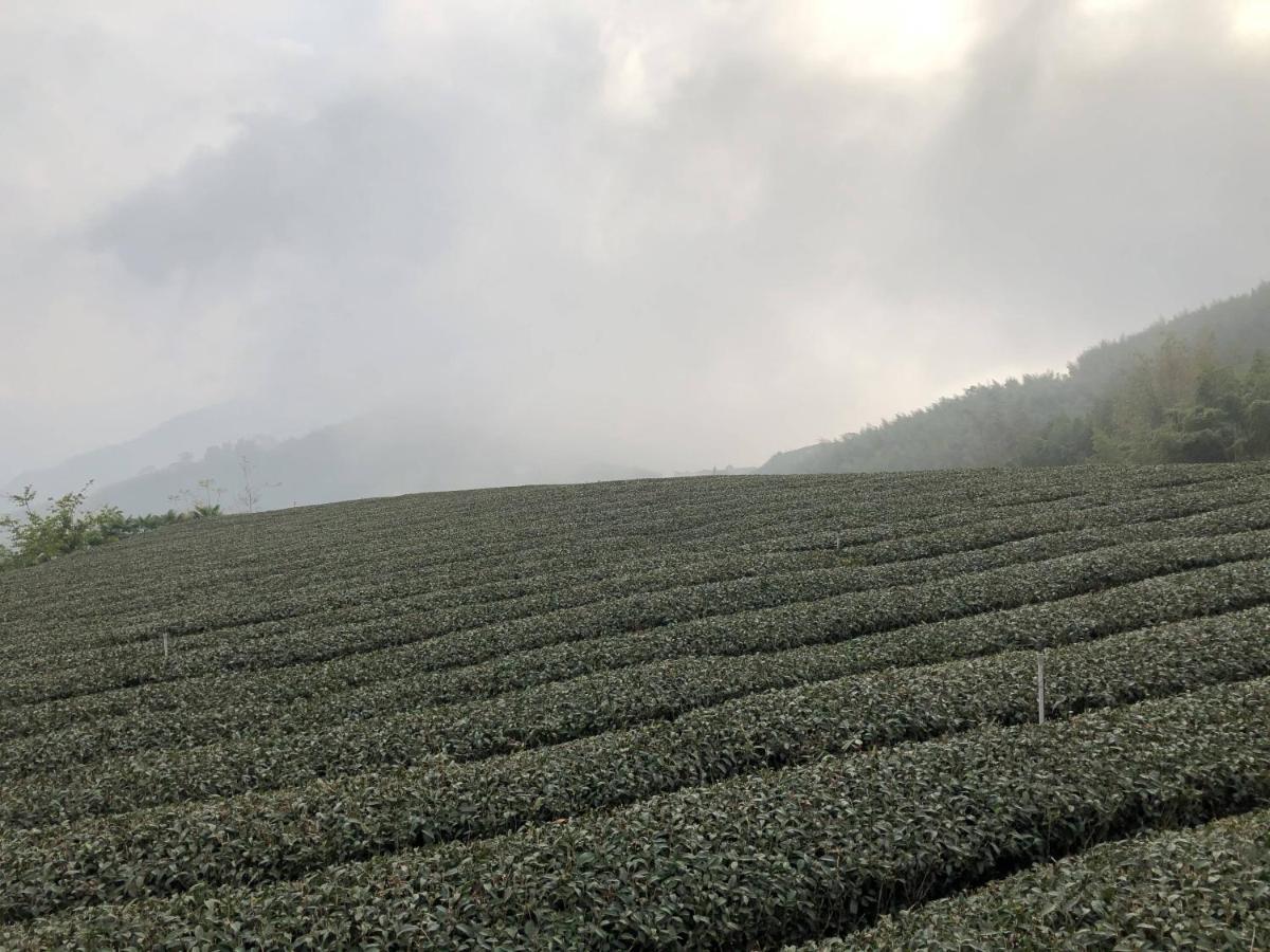 悟 佐茶 Satori Tea Βίλα Leye Εξωτερικό φωτογραφία